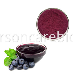 Freeze Dried Blueberry Powder